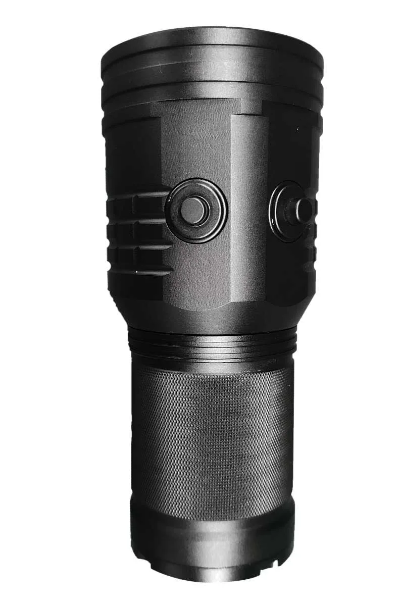 BPV08 - Image 3