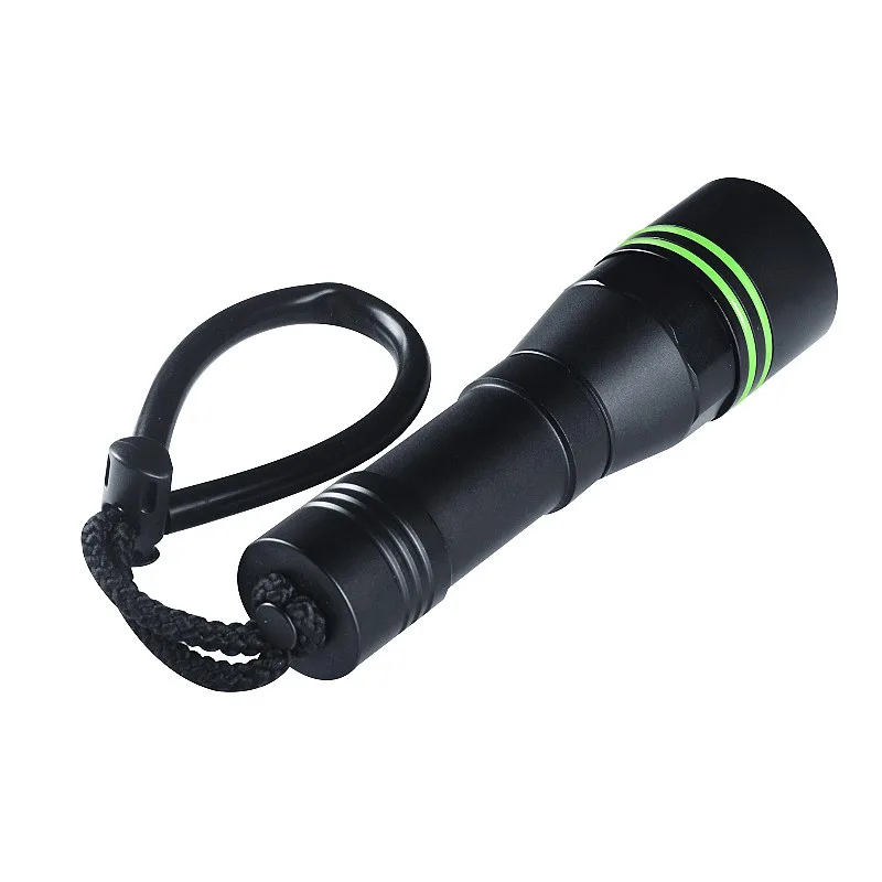 D54 - Image 3