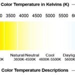 scuba underwater photography Lighting Color Temperature