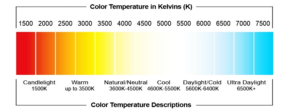 scuba underwater photography Lighting Color Temperature