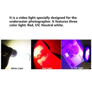 UV video dive lights